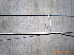 网络线 连接数字世界的核心布线产品